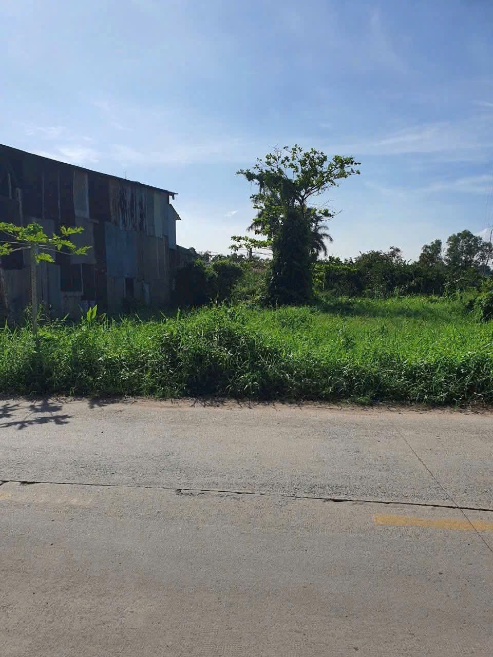 ĐẤT THẠNH XUÂN 52 – 795M² FULL THỔ CƯ – HẬU 18,6M – CHỈ 26 TỶ 2