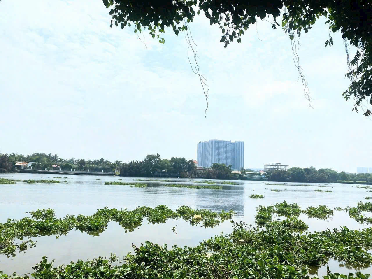 SIÊU PHẨM 5.000M² – 2 MẶT TIỀN SÔNG SÀI GÒN BÌNH MỸ – GIÁ CHỈ 6TR/M² 3