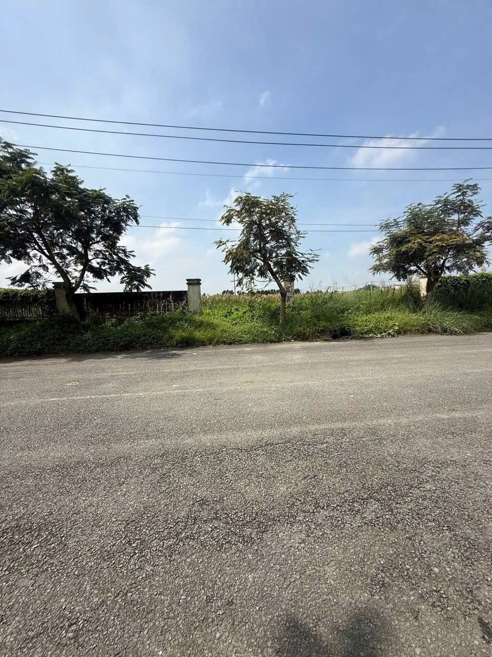 HOT ĐẤT SKC MẶT TIỀN CONTAINER – CỤM KCN NHỊ XUÂN – 7.700M²