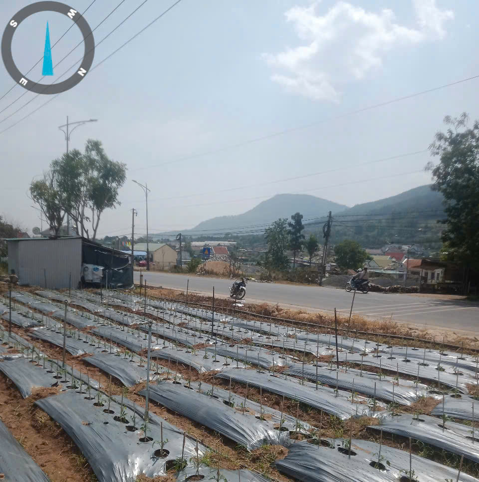 2 Mặt tiền quốc lộ 20, hiệp an, đức trọng cũ, lâm đồng 5