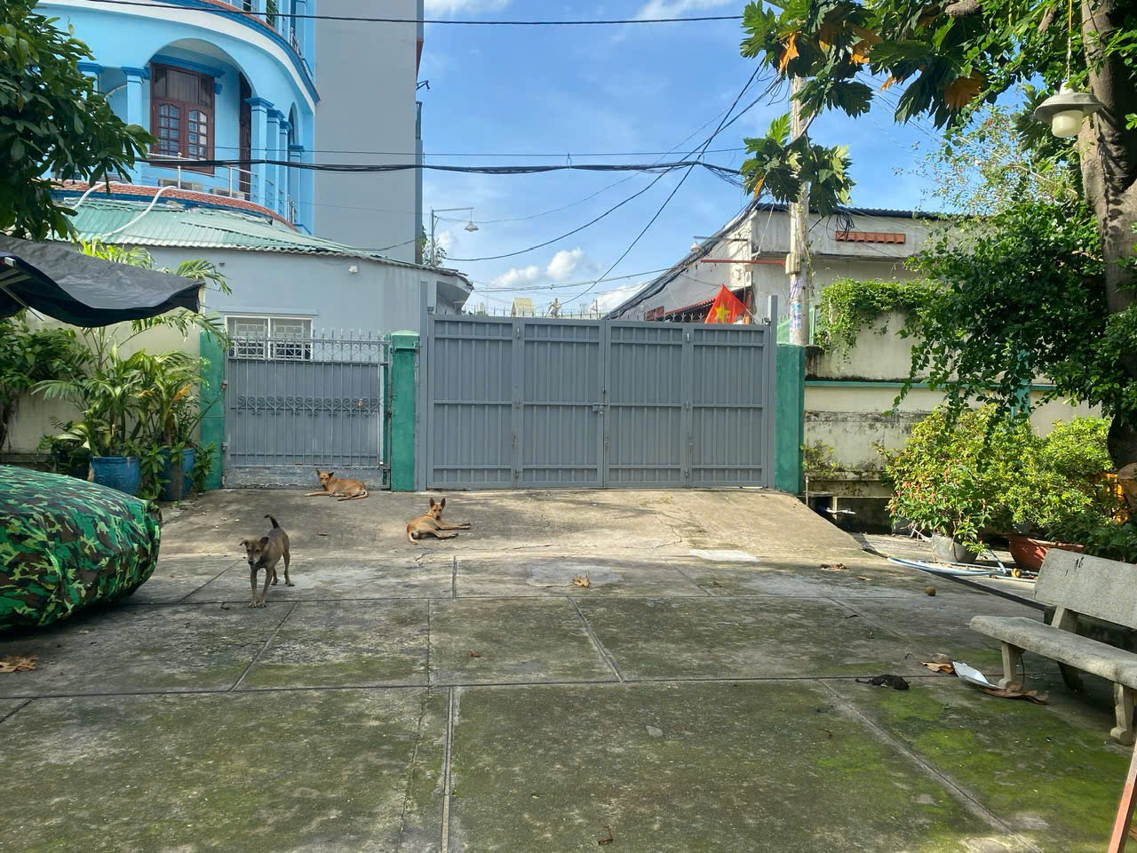 SIÊU BIỆT THỰ + QUỸ ĐẤT 1.090M² – GIẢM SỐC GẦN 30 TỶ – NGAY NGUYỄN VĂN QUÁ 4