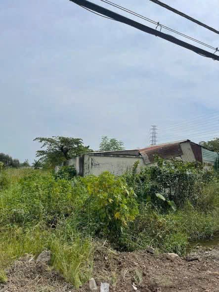 BÁN 8.000M² MẶT TIỀN TỈNH LỘ 15 – 6.000M² THỔ CƯ – GIÁ CHỈ 11TR/M² 4