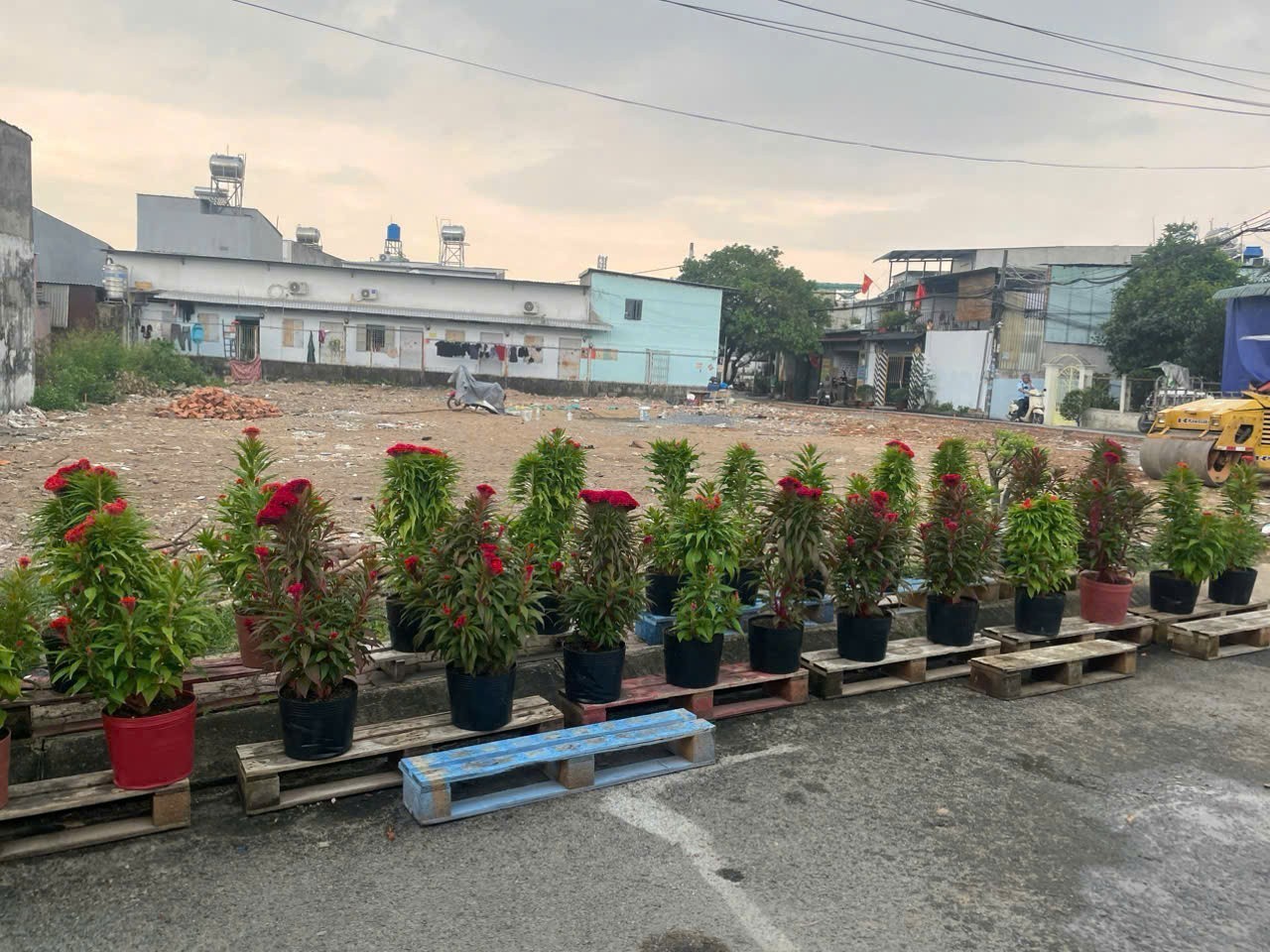 SIÊU PHẨM 8 LÔ VỪA RA SỔ MẶT TIỀN NHỰA KHU NHÀ LẦU GIÁP Q.12 NHANH CHỌN LỰA 2