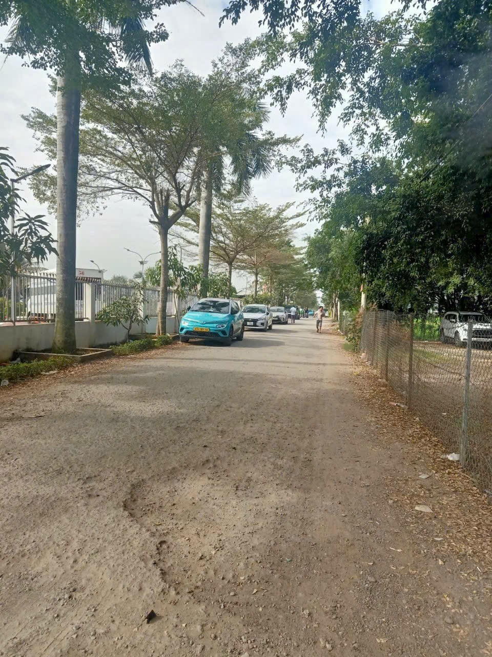 ĐẤT 3MT 1/ QL22, TÂN HIỆP, HÓC MÔN (5.000m²) NGAY TRƯỜNG LÁI & VÀNH ĐAI 3! 2