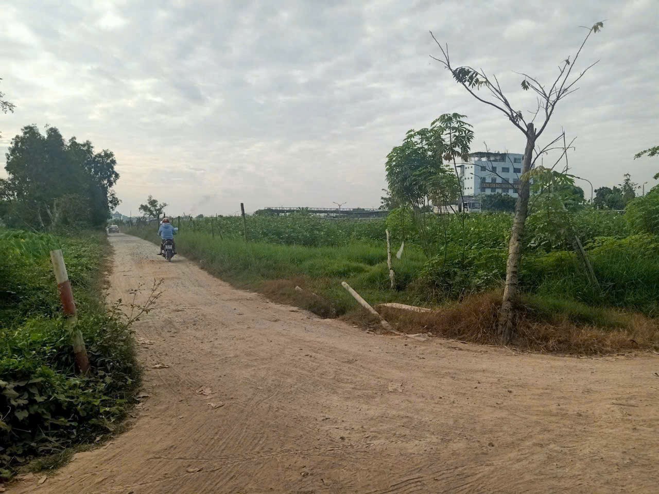 ĐẤT 3MT 1/ QL22, TÂN HIỆP, HÓC MÔN (5.000m²) NGAY TRƯỜNG LÁI & VÀNH ĐAI 3! 3