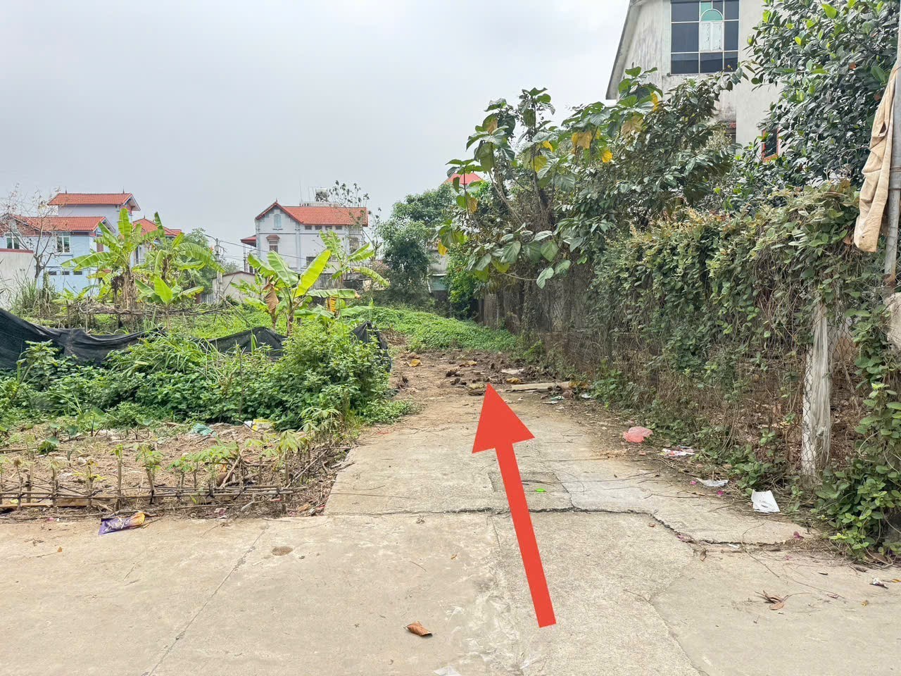 Cực hiếm, 64m đất tổ 9, Quang Minh - nằm sát ngay khu công nghiệp mà giá chỉ 1,8 tỷ 2