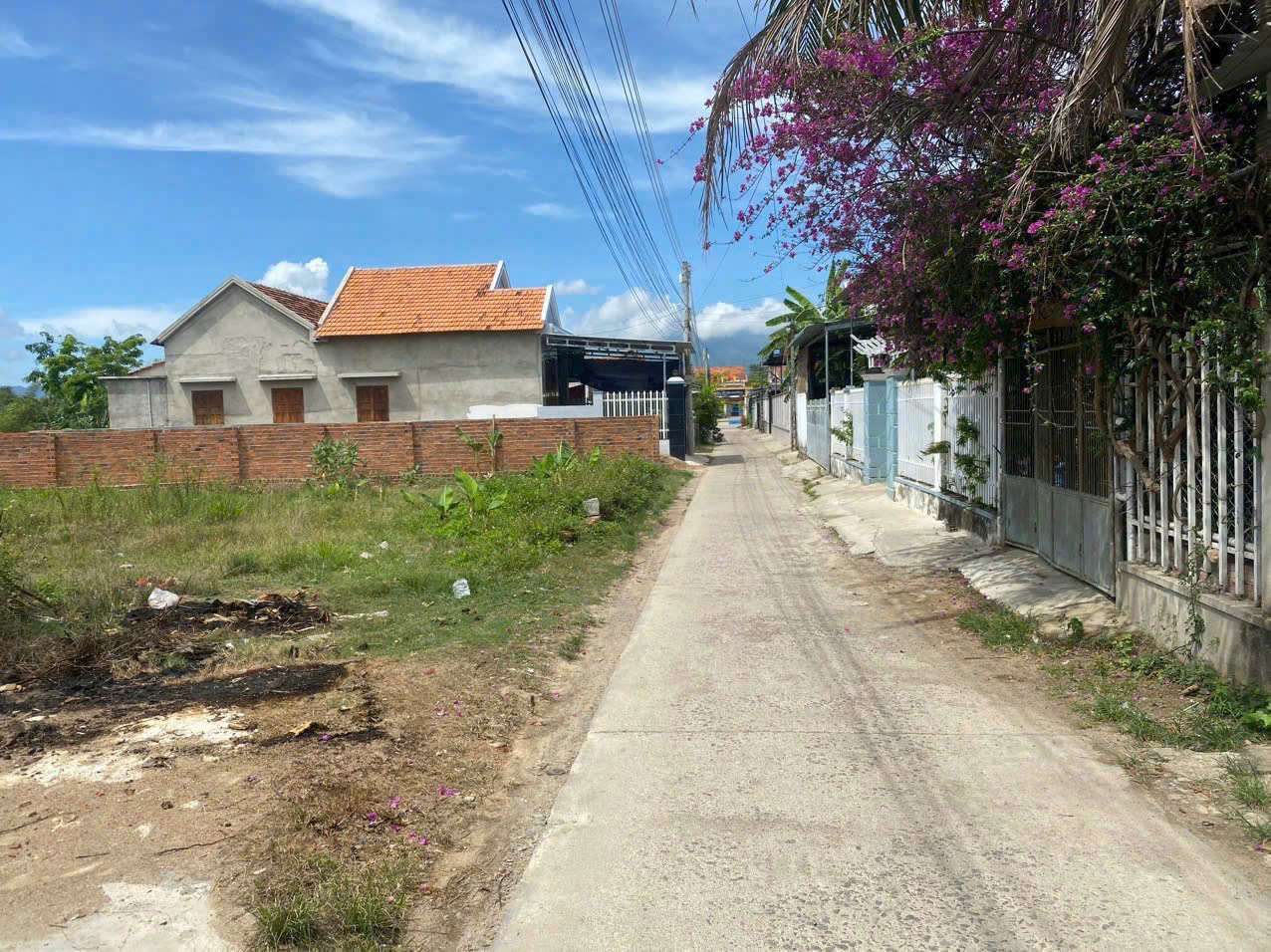 Cần bán Đất Xã Ninh Phụng, Ninh Hòa, Diện tích 685m², Giá 3.7 Tỷ