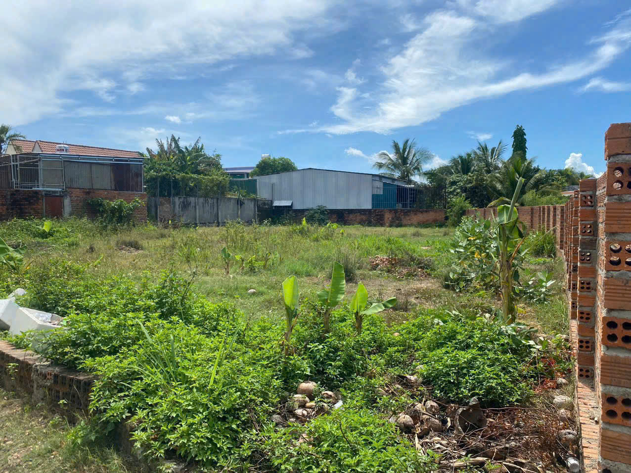 Cần bán Đất Xã Ninh Phụng, Ninh Hòa, Diện tích 685m², Giá 3.7 Tỷ 2