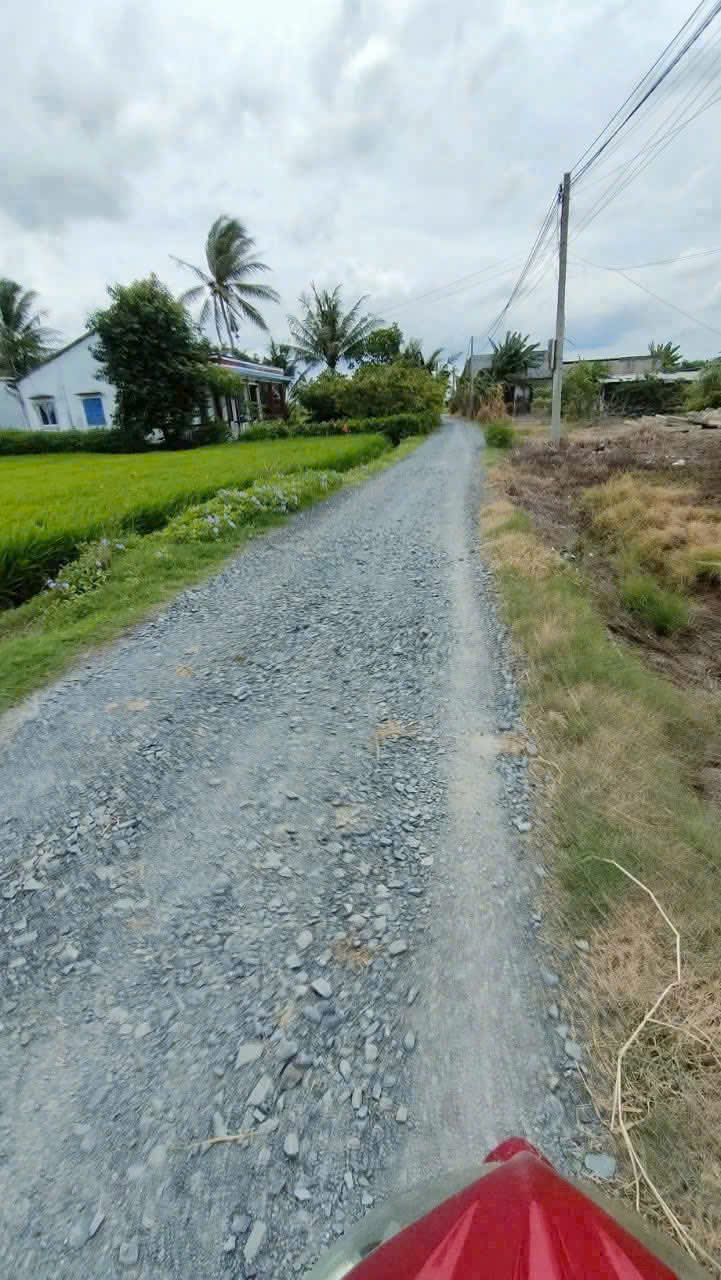 Bán 1000m2 đất lúa đường đá xanh xe hơi tới đất xã Nhựt Chánh , Bến Lức giá 1 tỷ 2