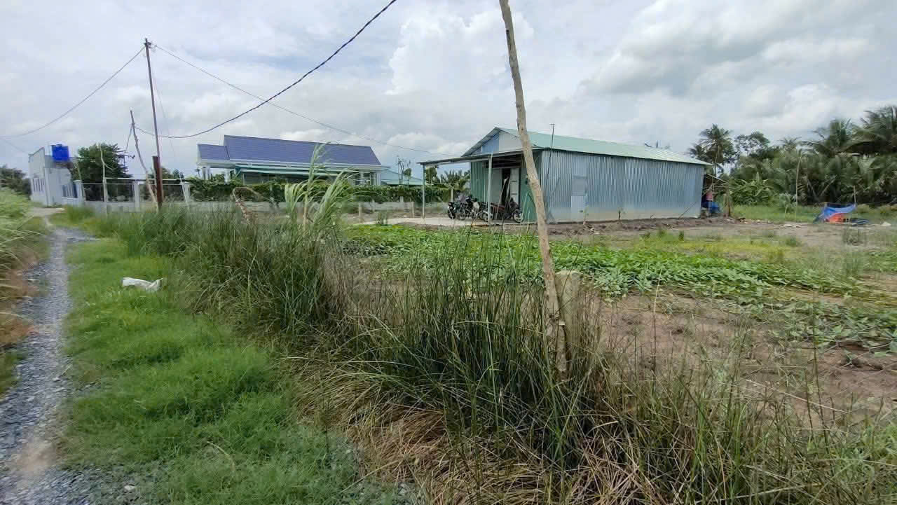 Bán 1000m2 đất lúa đường đá xanh xe hơi tới đất xã Nhựt Chánh , Bến Lức giá 1 tỷ 3