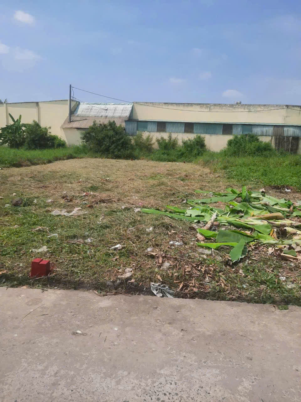 Bán 2 nền thổ cư liền kề đường beton xe hơi xã Phước Lâm , Cần Giuộc dt 125m2 giá 1,3 tỷ / lô 2