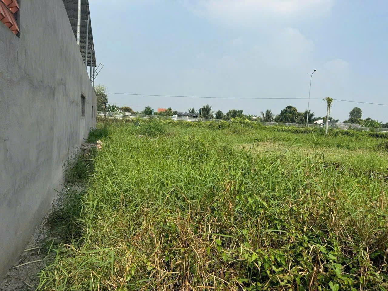 Bán đất thổ cư xã Phước Lý , Cần Giuộc dt 223m2 giá chốt 3 tỷ