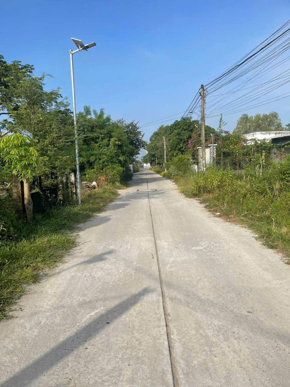 Bán đất  đường beton có cổng rào ở thị trấn Hậu Nghĩa dt 210m2 full thổ giá 2,2 tỷ 2