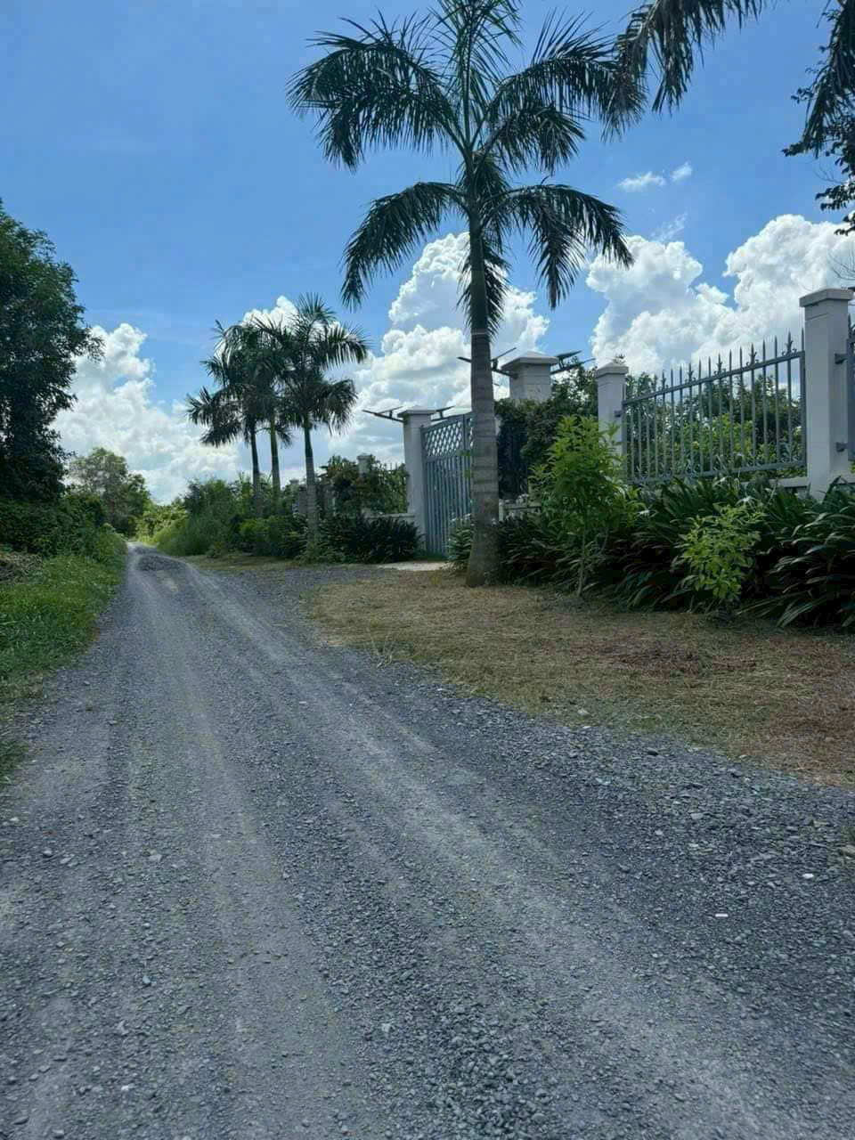 Bán đất vườn đường đá xanh xe oto tới đất xã Thạnh Hòa, Bến Lức dt 1000m2 giá chốt 1,25 tỷ