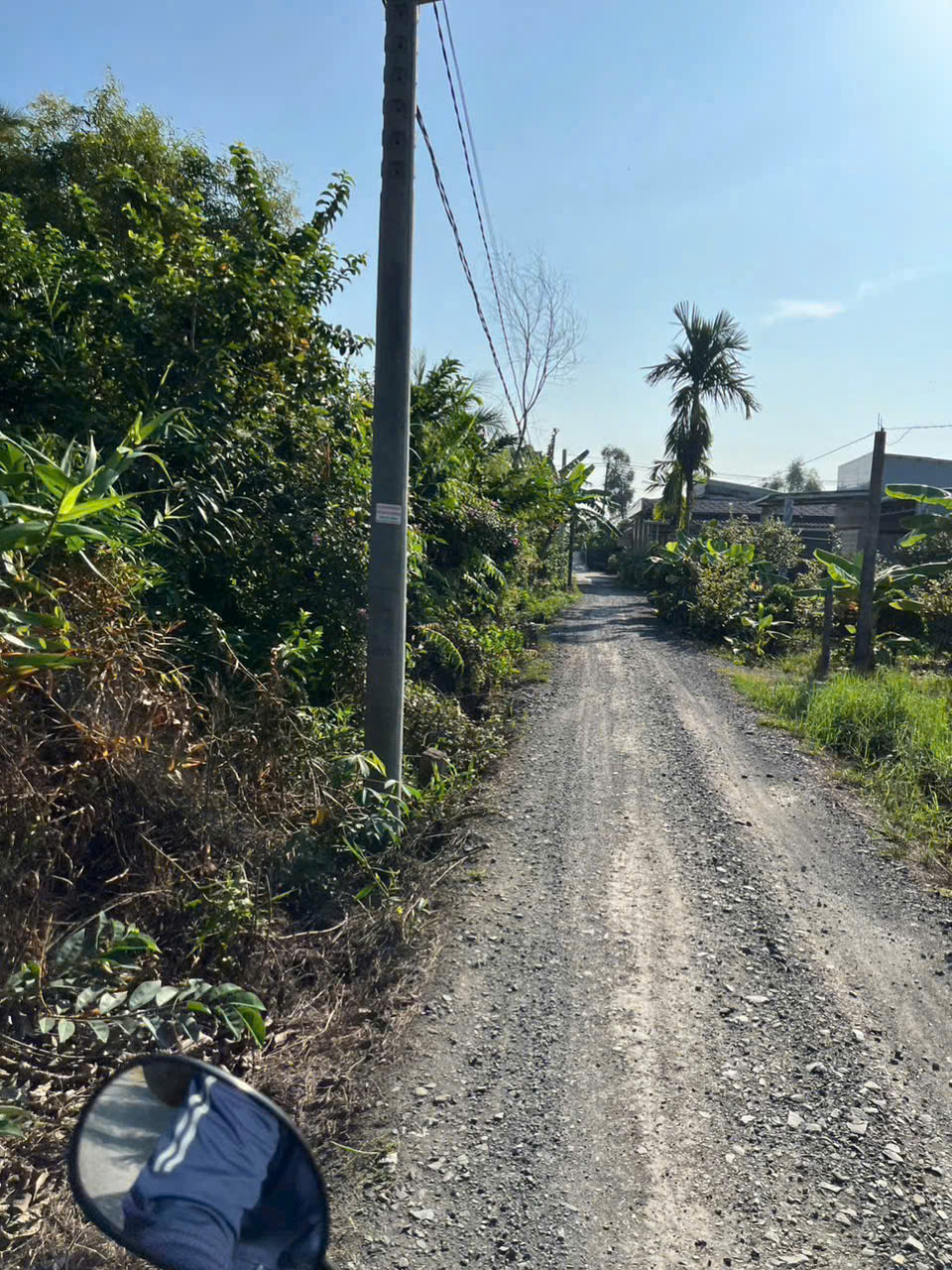Bán đất vườn đường đá xanh xe oto tới đất xã Thạnh Hòa, Bến Lức dt 1000m2 giá chốt 1,25 tỷ 3