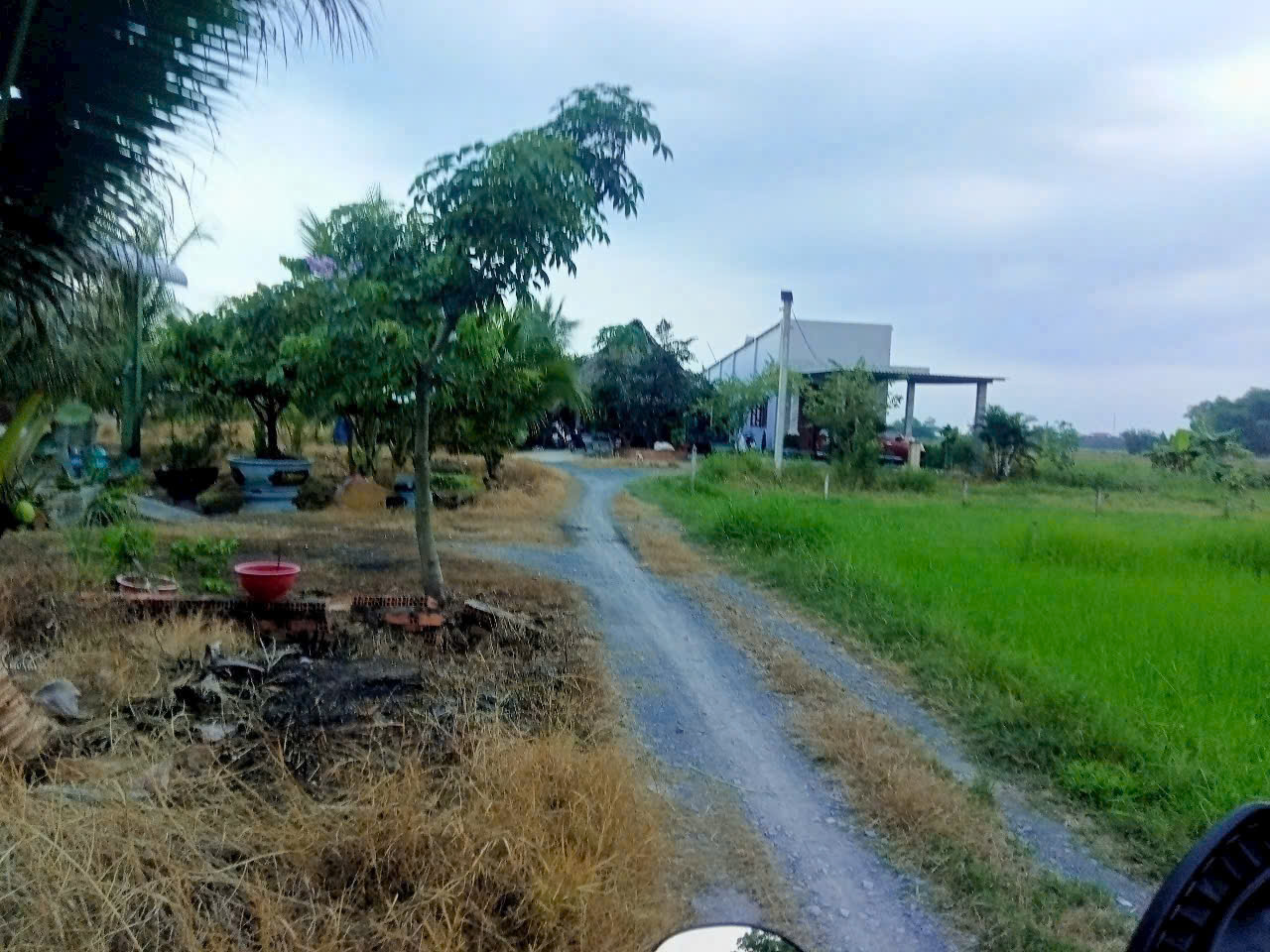 Bán đất thổ vườn 1/ Bàu Sen, xã Hòa Khánh Đông dt 420m2 (75m2 thổ) giá 1,8 tỷ 2