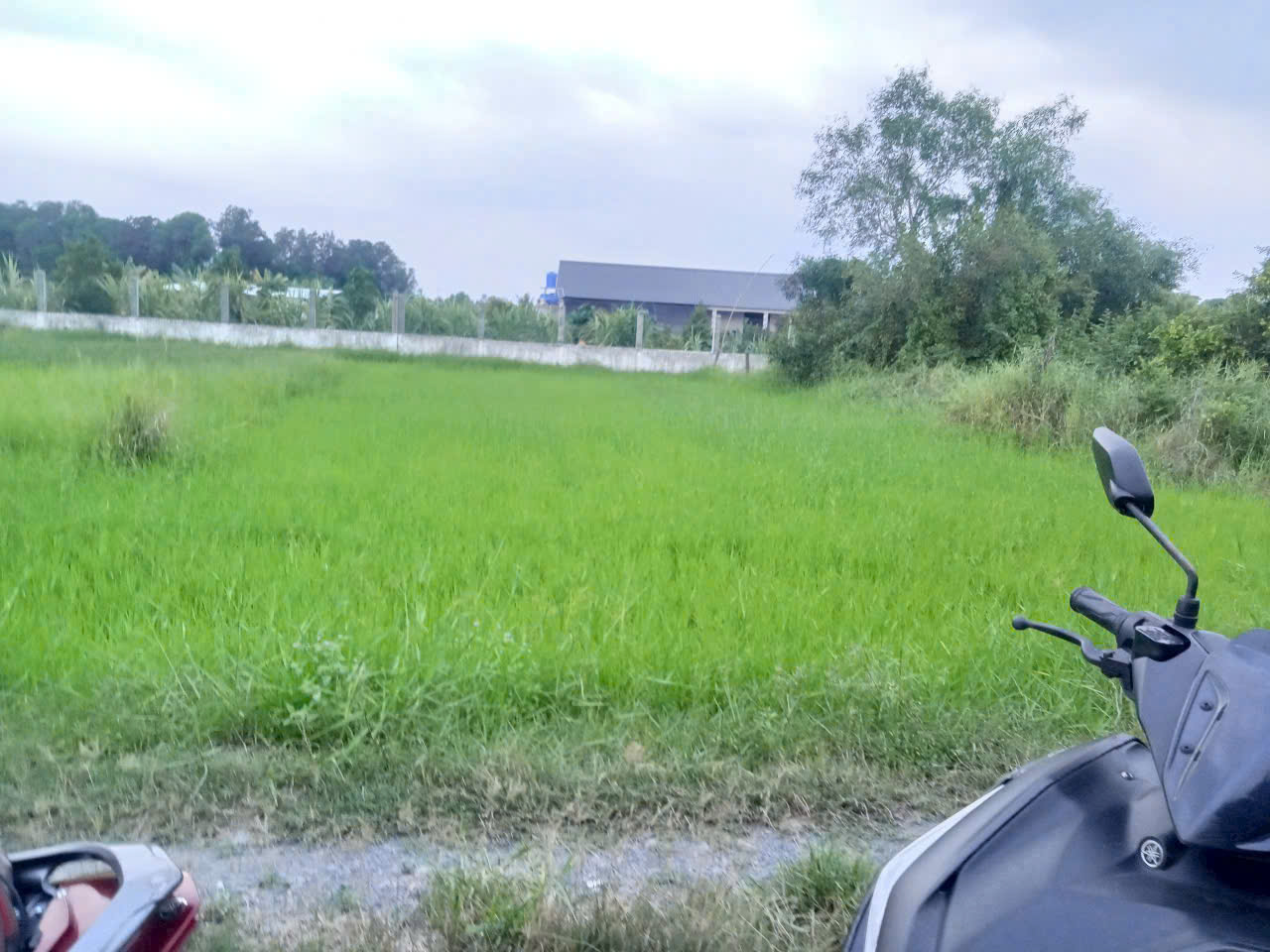 Bán đất thổ vườn 1/ Bàu Sen, xã Hòa Khánh Đông dt 420m2 (75m2 thổ) giá 1,8 tỷ 3