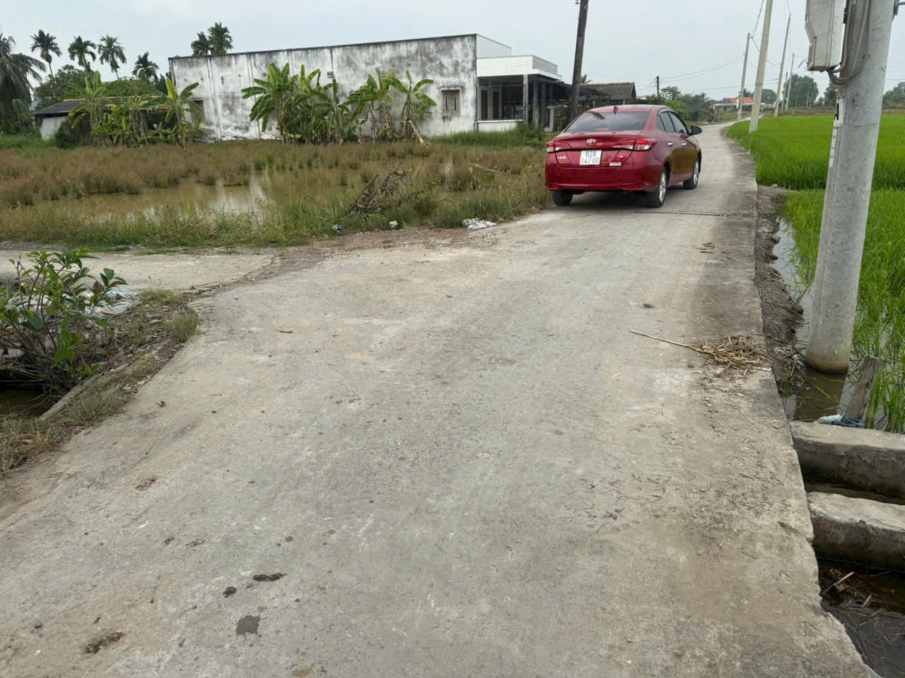 Bán 6 lô thổ cư liền kề mặt tiền đường beton Nguyễn Văn Tiết , Lạc Tấn giá 370tr , 390tr , 450tr 3