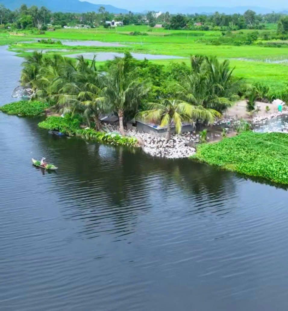 SIÊU PHẨM 2 “ĐẢO” ĐẤT MẶT TIỀN VÕ VĂN BÍCH – SÁT VÀNH ĐAI 3 – CHỈ 6TR/M²! 3