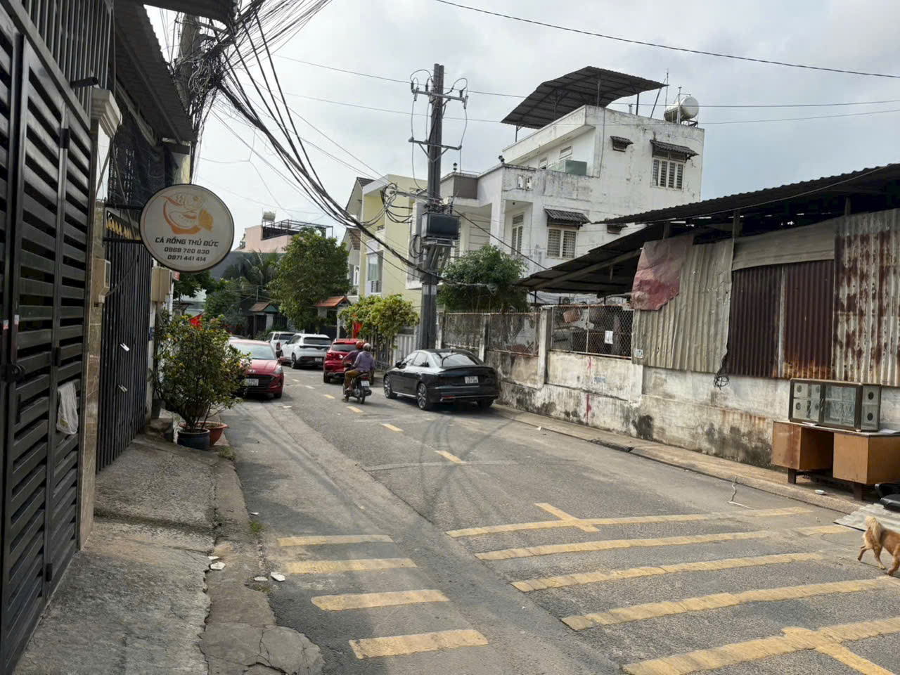 Cần bán Đất Phường Tăng Nhơn Phú A, Quận 9, Diện tích 116m², Giá 7.9 Tỷ