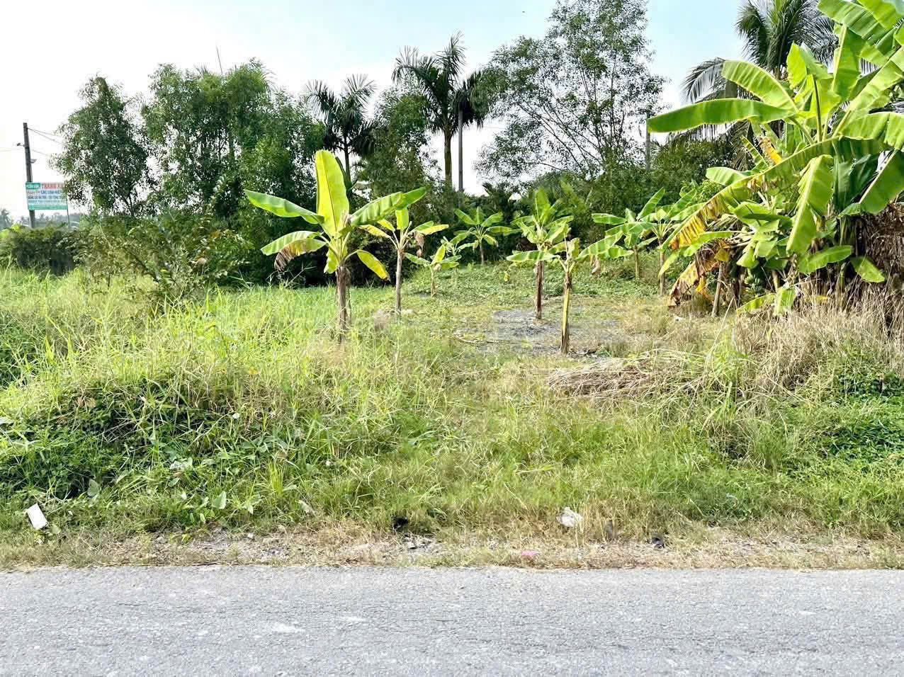 Bán nền thổ cư mt đường Nhựt Chánh, Mỹ Bình , Bến Lức dt 131,7m2 giá 1,35 tỷ 2