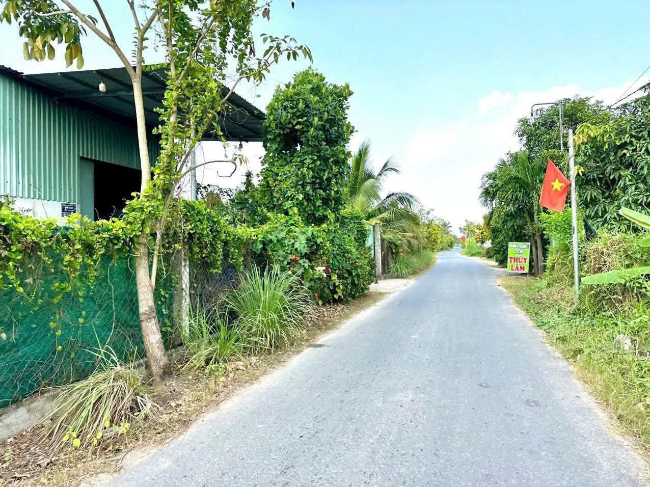 Bán nền thổ cư mt đường Nhựt Chánh, Mỹ Bình , Bến Lức dt 131,7m2 giá 1,35 tỷ 4