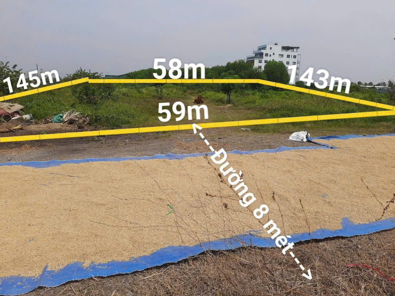 BÁN 7.530M² ĐẤT SXKD CÁCH QL22 170M - TÂN HIỆP, HÓC MÔN GIÁ HỜI 6,8TR/M² 5