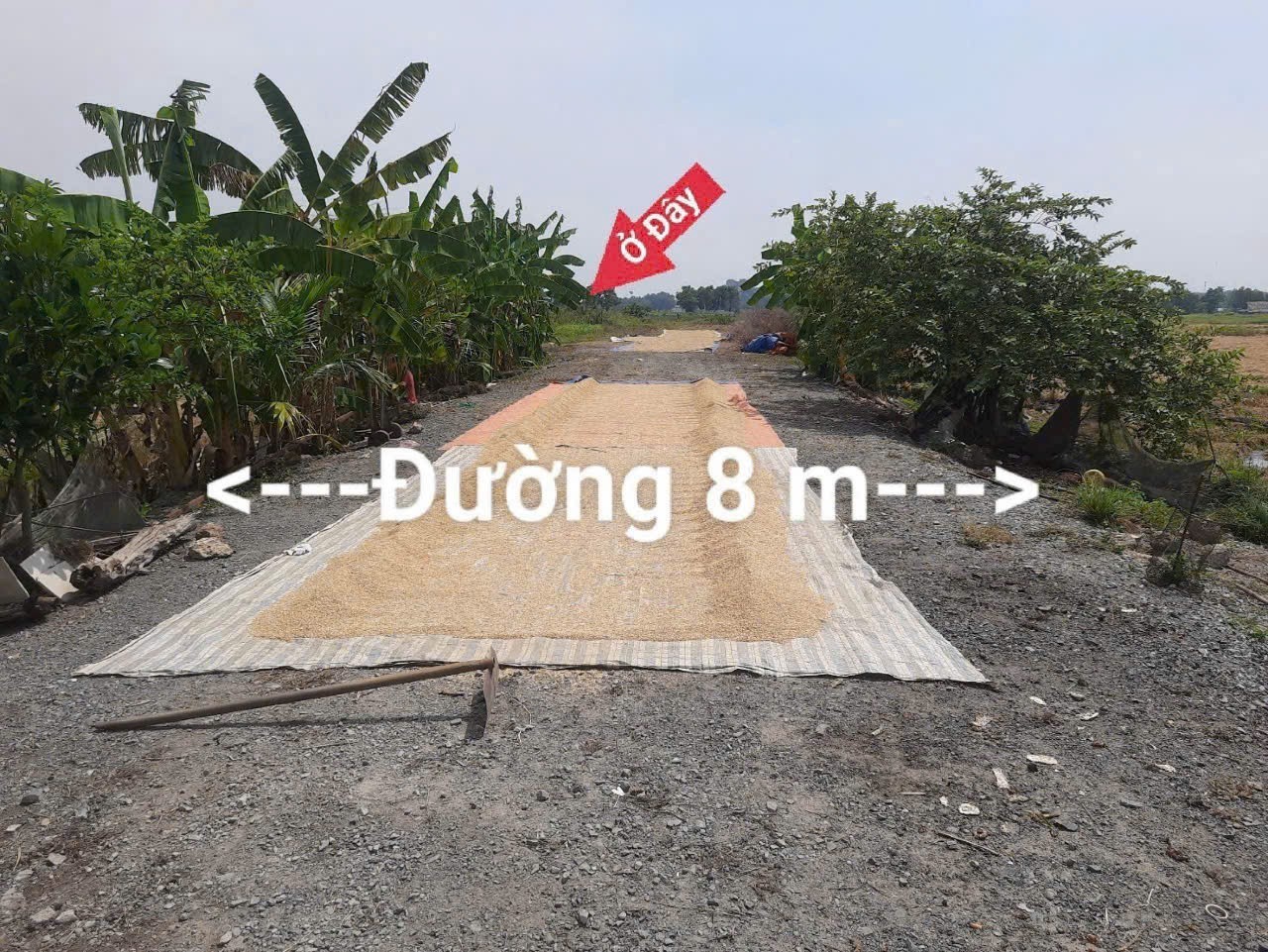 BÁN 7.530M² ĐẤT SXKD CÁCH QL22 170M - TÂN HIỆP, HÓC MÔN GIÁ HỜI 6,8TR/M² 2