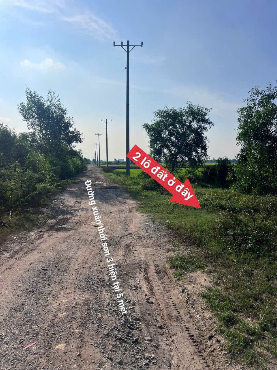 RA GẤP 2 LÔ LIỀN KỀ MẶT TIỀN XUÂN THỚI SƠN 03 – SÁT VÀNH ĐAI 3 – 1.006M²/LÔ 5