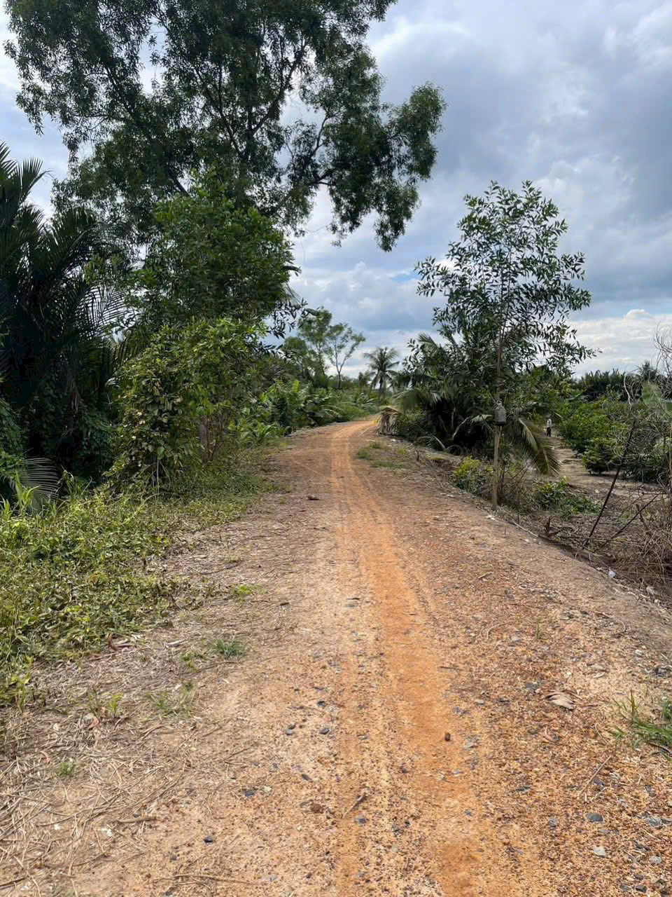 Bán đất vườn ấp 10 , Lương Hòa, Bến Lức mặt tiền sông Vàm Cỏ Đông dt 4554m2 giá 5,3 tỷ 3