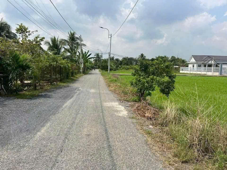 Bán đất mt đường nhựa Liên Ấp 2-4, Long Cang, Cần Đước dt 175m2 thổ giá 1,38 tỷ 2