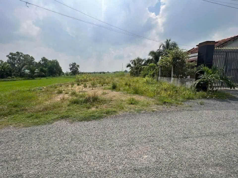Bán đất mt đường nhựa Liên Ấp 2-4, Long Cang, Cần Đước dt 175m2 thổ giá 1,38 tỷ 3