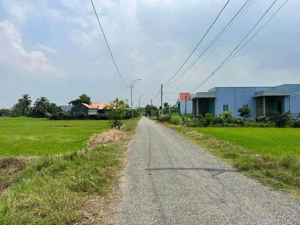 Bán đất mt đường nhựa Liên Ấp 2-4, Long Cang, Cần Đước dt 175m2 thổ giá 1,38 tỷ 4