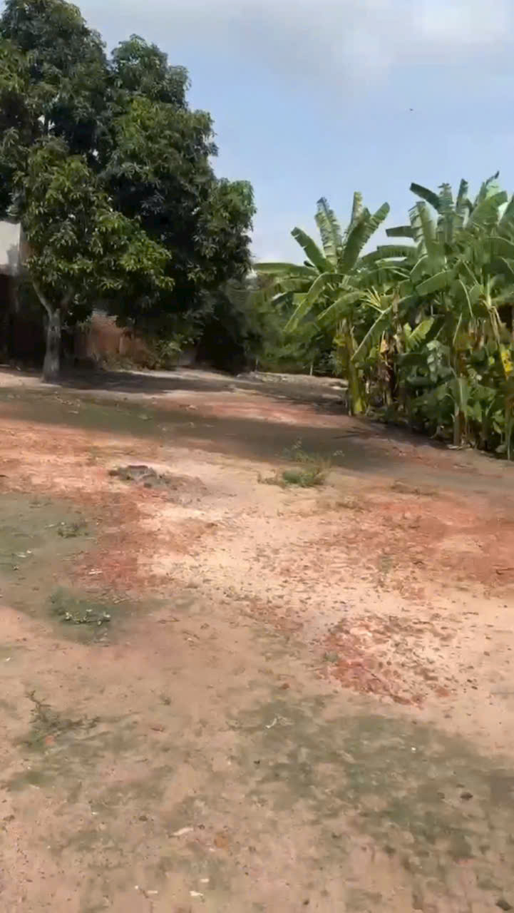 Bán đất 2 mặt tiền đường beton xã Lộc Giang , Đức Hòa tdt 820m2 ( 320m2 thổ) giá 1,7 tỷ 4