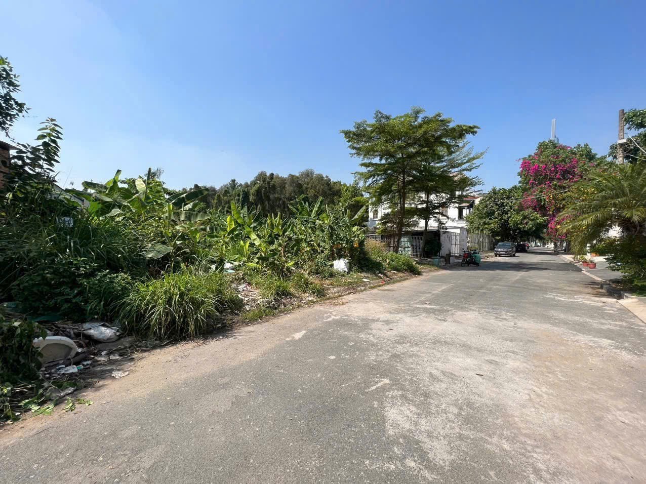 Cần bán Đất Quận 2, Hồ Chí Minh, Diện tích 375m², Giá 150 Triệu/m² 2