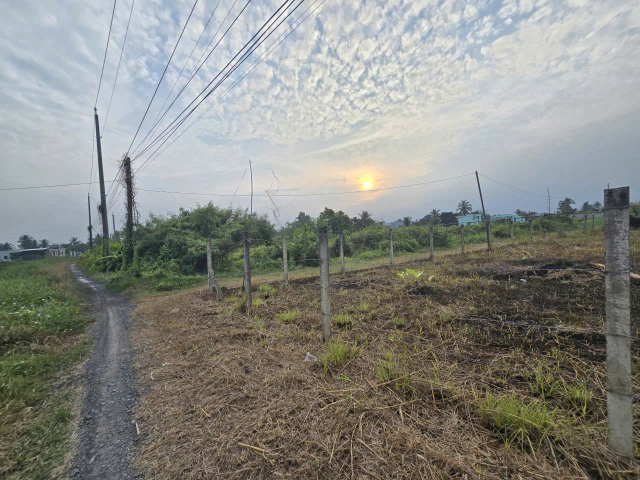 Bán đất 2 mặt tiền xã Tân Trạch , Cần Đước dt 1790m2 full thổ giá 17 tỷ 2