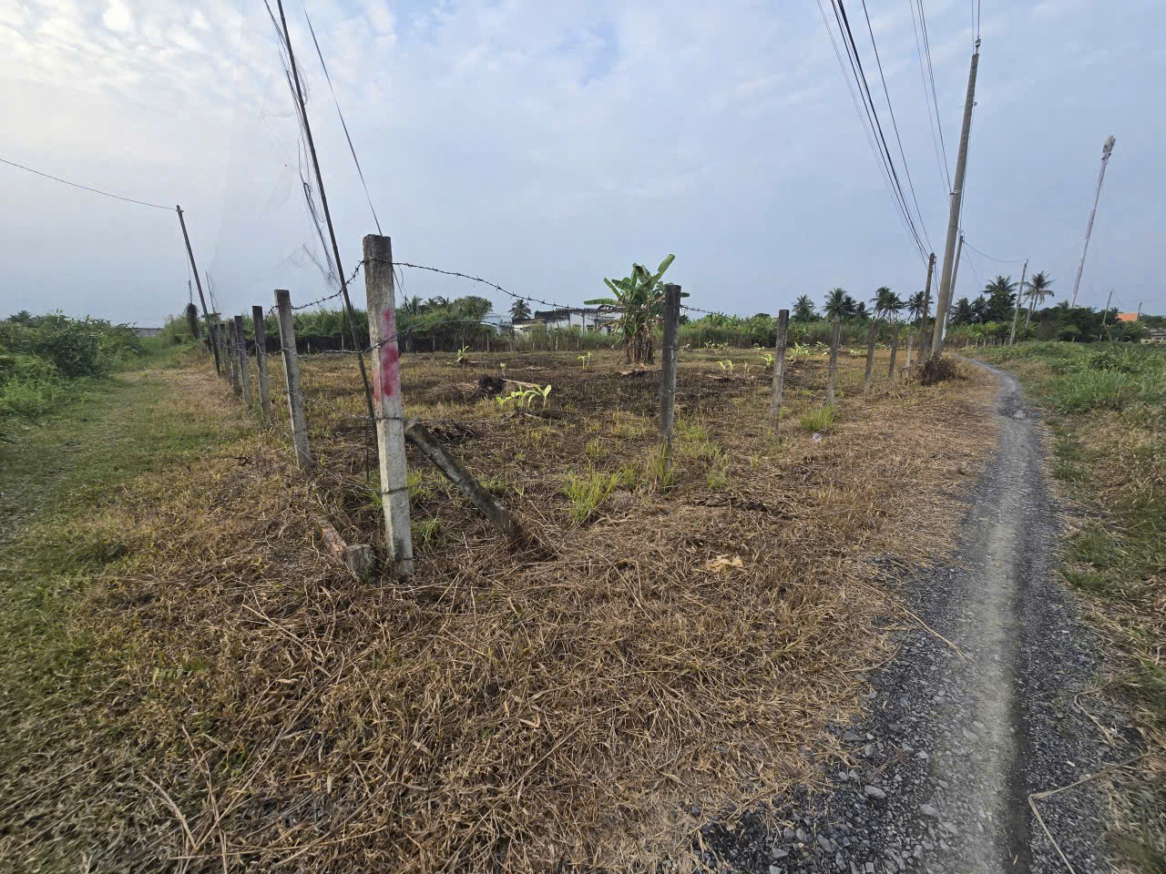 Bán đất 2 mặt tiền xã Tân Trạch , Cần Đước dt 1790m2 full thổ giá 17 tỷ 3