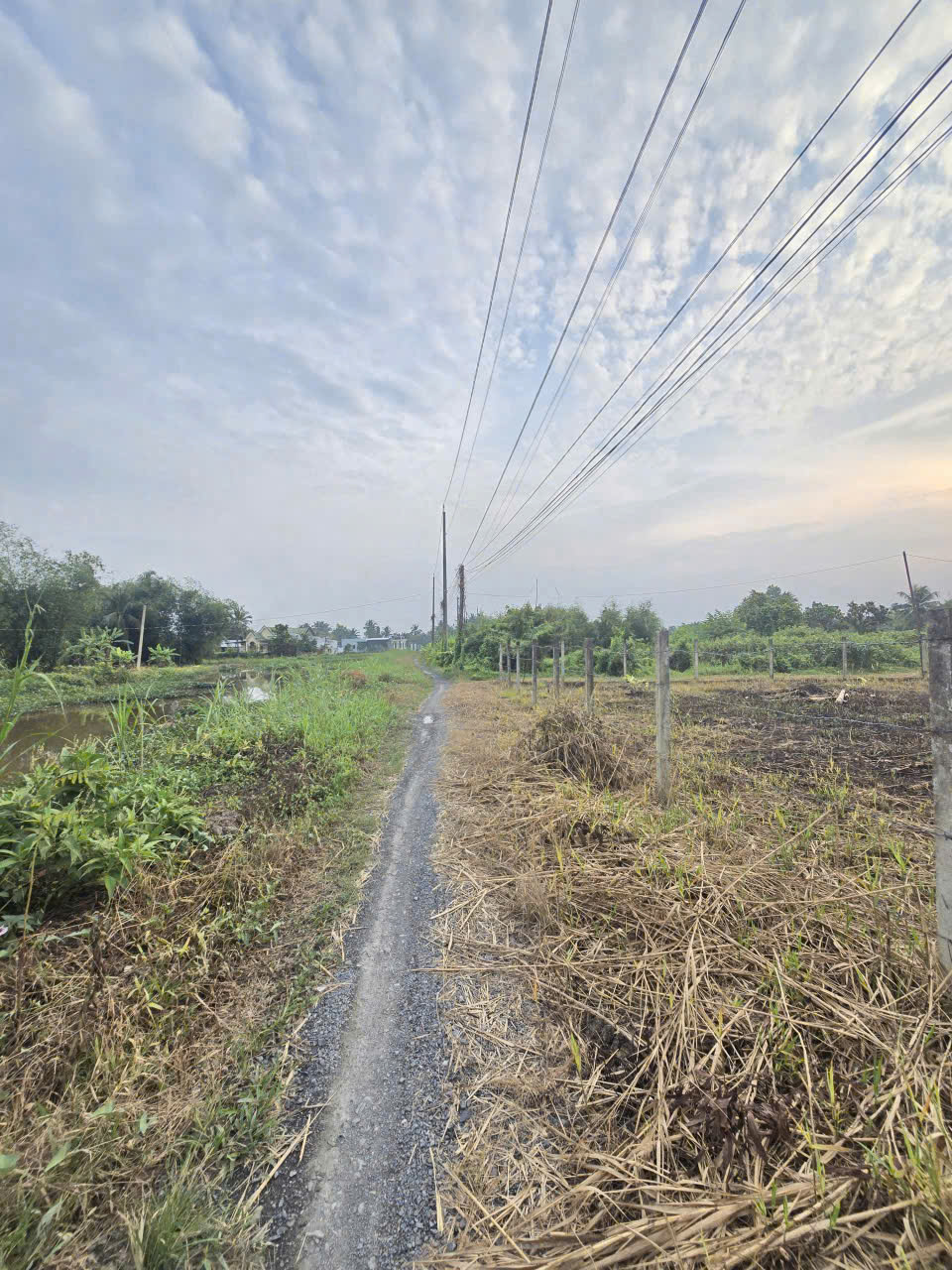 Bán đất 2 mặt tiền xã Tân Trạch , Cần Đước dt 1790m2 full thổ giá 17 tỷ 6