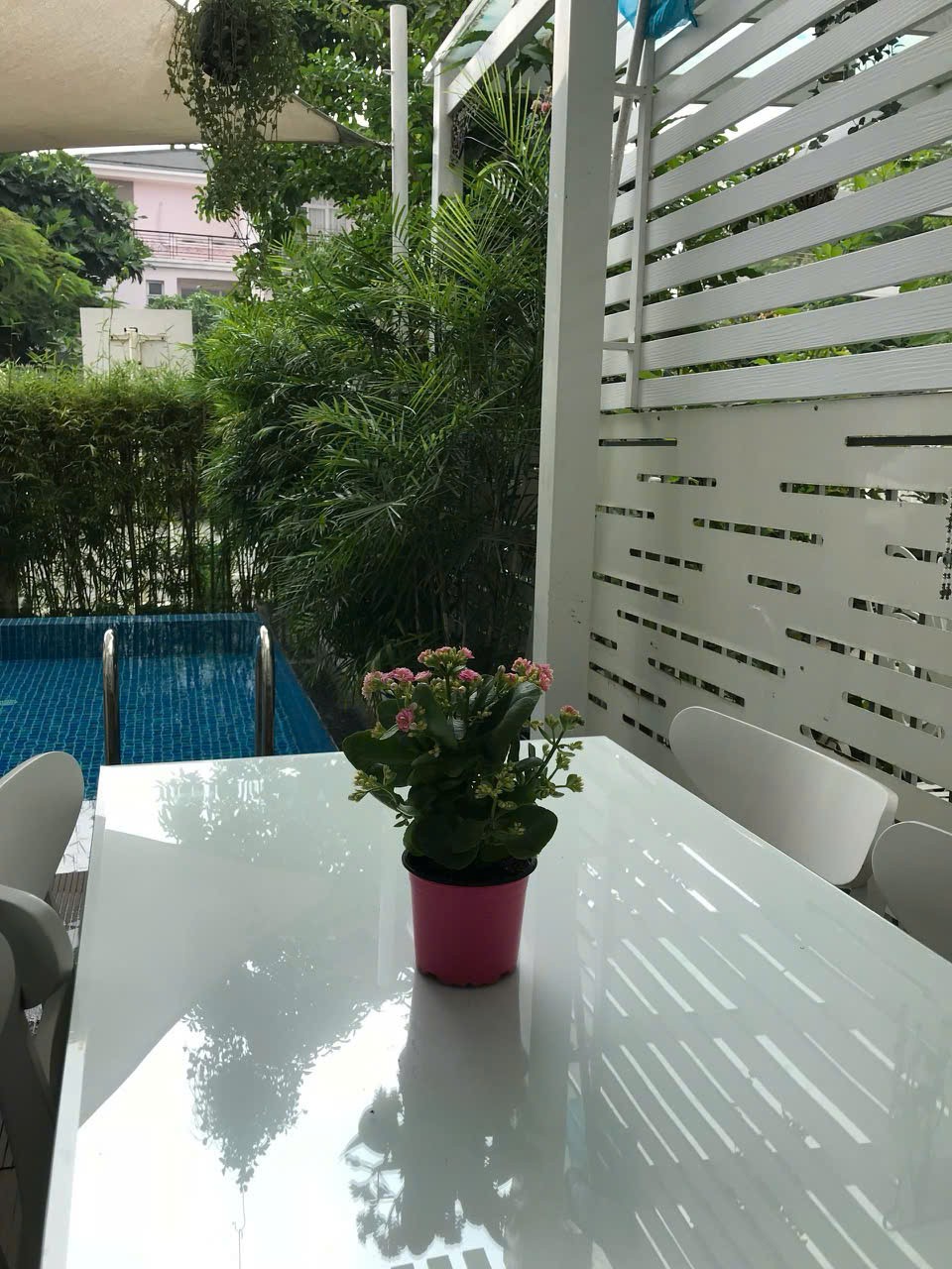 Cho thuê Biệt thự Phường Phú Mỹ, Quận 7, Diện tích 280m², Giá Thương lượng 4