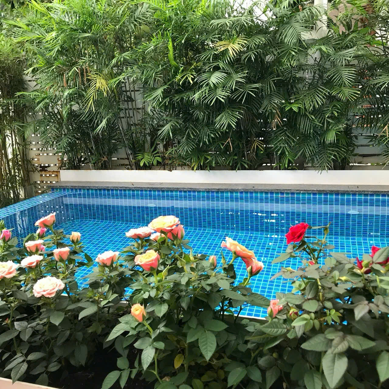 Cho thuê Biệt thự Phường Phú Mỹ, Quận 7, Diện tích 280m², Giá Thương lượng 6