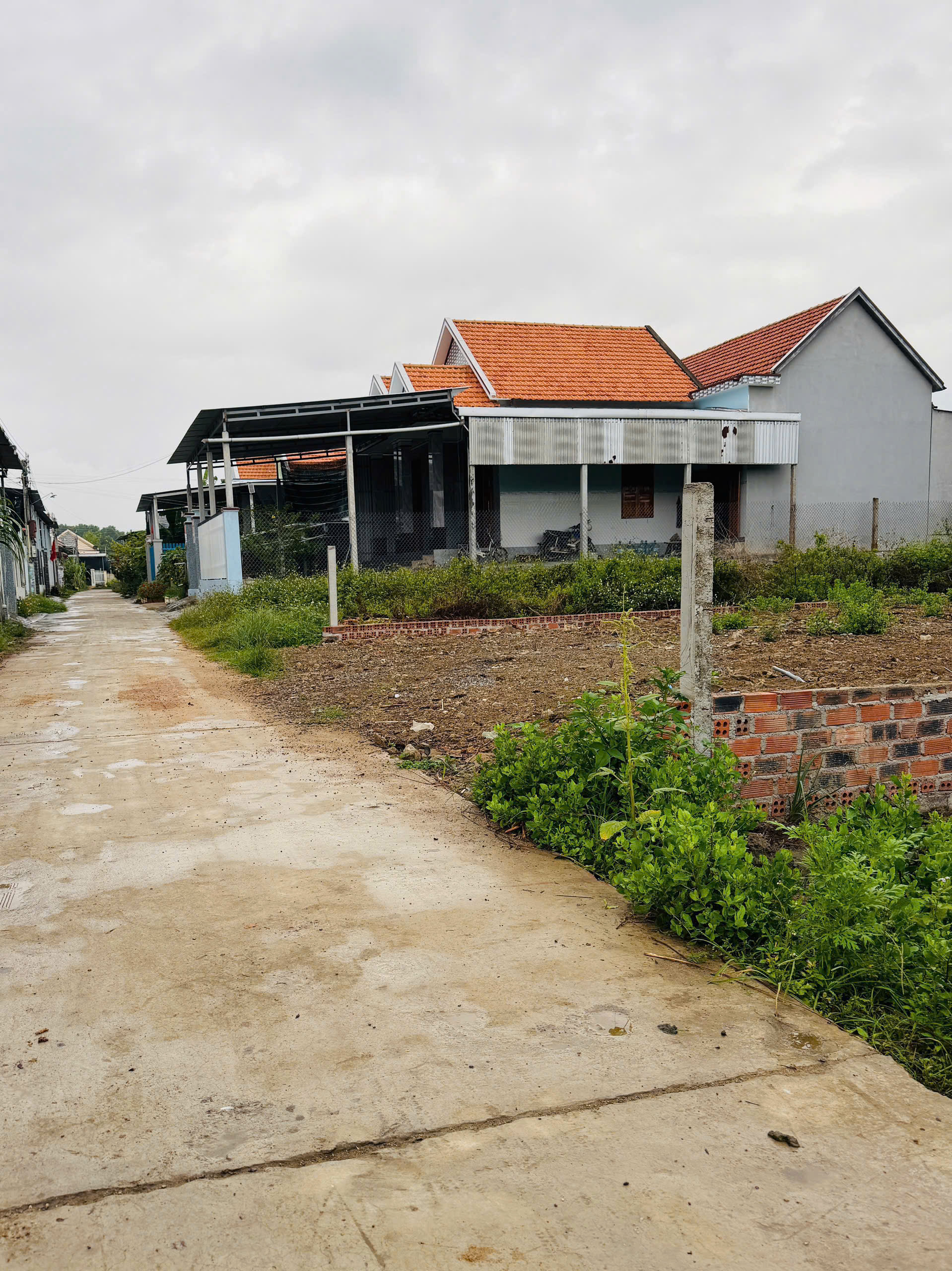 Cần bán Đất Xã Ninh Hưng, Ninh Hòa, Diện tích 256m², Giá 900 Triệu