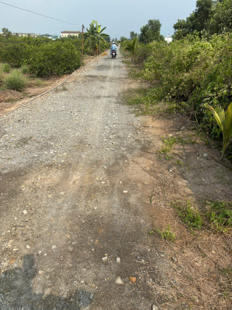 Bán đất vườn vuông vức đường xe oto đá xanh xã Lương Hòa dt 4800m2 giá 8,3 tỷ 3