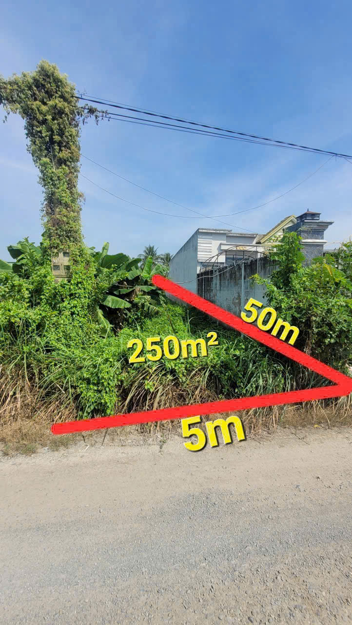 Bán đất thổ cư đường xe tải ấp 2 , Long Cang dt 250m2 full thổ giá chốt 1,25 tỷ