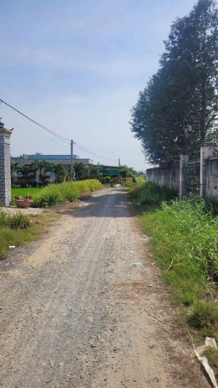 Bán đất thổ cư đường xe tải ấp 2 , Long Cang dt 250m2 full thổ giá chốt 1,25 tỷ 3