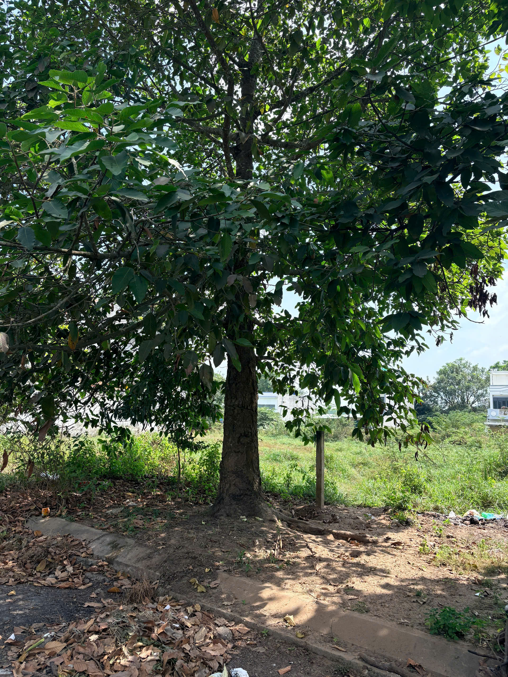 Bán nền thổ cư đường số 4, KDC 135 , thị trấn Bến Lức dt 144m2 giá 3,4 tỷ 5