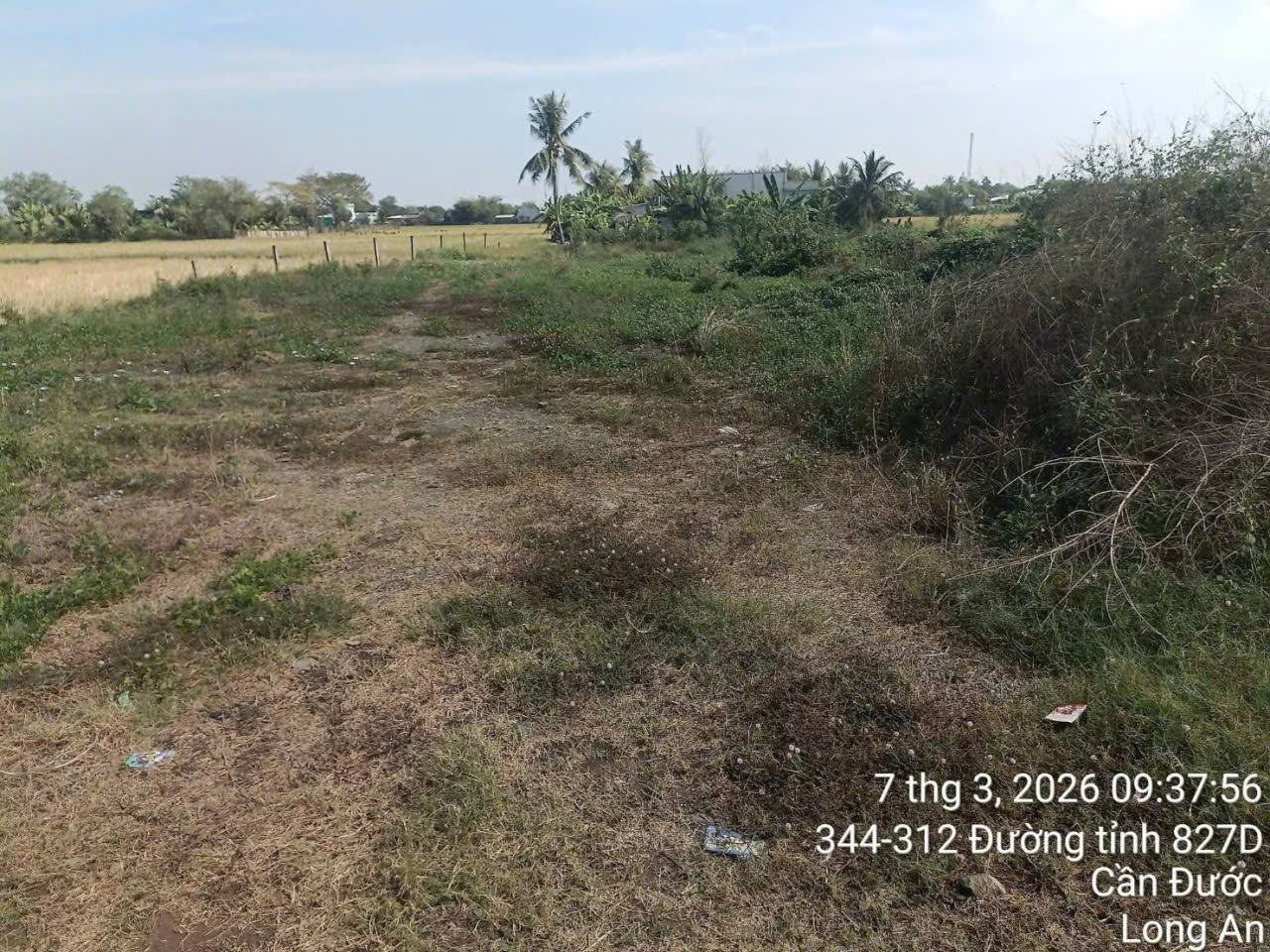 Bán đất mặt tiền đường Liên Xã Long Hòa - Long Khê , xã Long Hòa dt 143m2 full thổ giá 1,2 tỷ 2