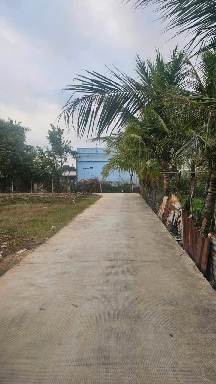 Bán 6 nền thổ cư liền kề đường beton xe hơi xã Phước Vân giá 750 -850tr -900tr 5