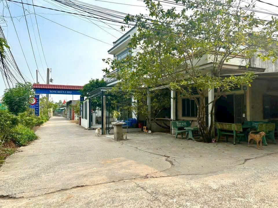 Bán đất thổ cư hẻm beton xe tải Long Định, Cần Đước dt 244,55m2 full thổ giá chốt 1,8 tỷ 3