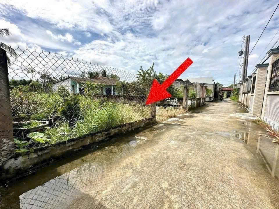 Bán đất thổ cư hẻm beton xe tải Long Định, Cần Đước dt 244,55m2 full thổ giá chốt 1,8 tỷ 5