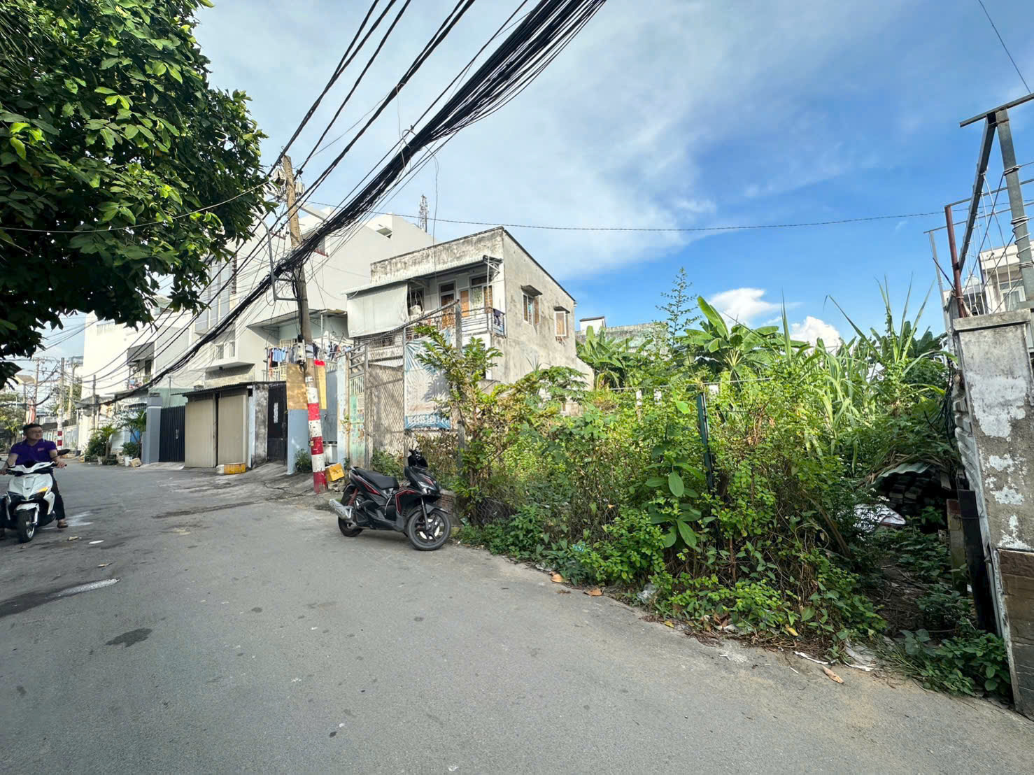 Cần bán Đất Phường Phước Bình, Quận 9, Diện tích 526m², Giá 14.9 Tỷ 4